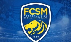 开云体育登录-索肖球员被罚下场，影响球队比赛