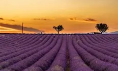 开云官网-法国队长跑掀起狂潮，团队精神彰显冲劲十足