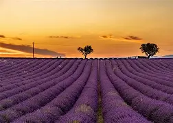 法国队长跑掀起狂潮,团队精神彰显冲劲十足 法国队长跑掀起狂潮,团队精神彰显冲劲十足