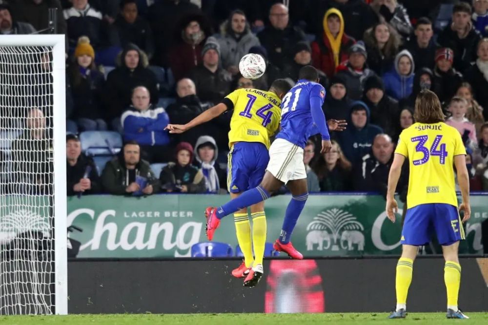 纽卡斯尔联主场告负，保级压力加重