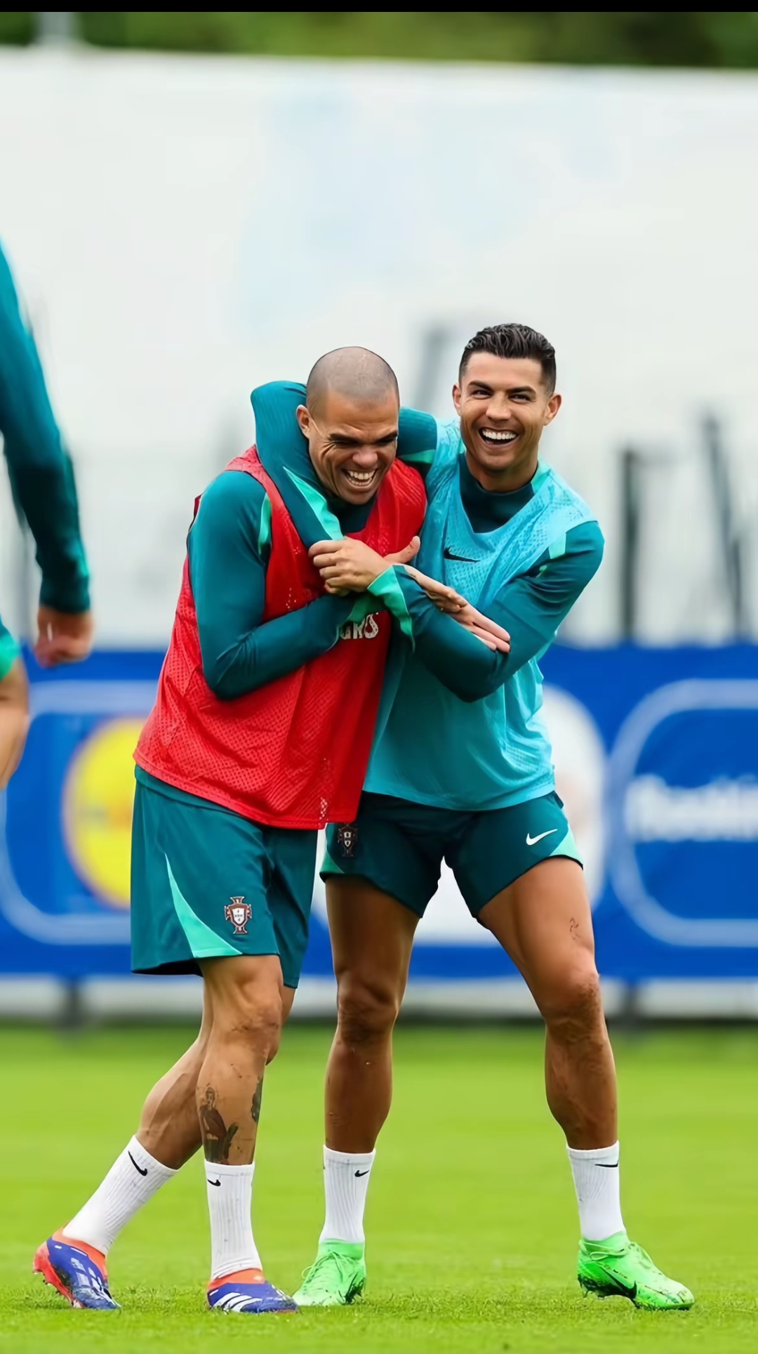 法国联赛上演精彩对决，各支球队实力均现的简单介绍